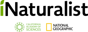 Logotipo do iNaturalist.org